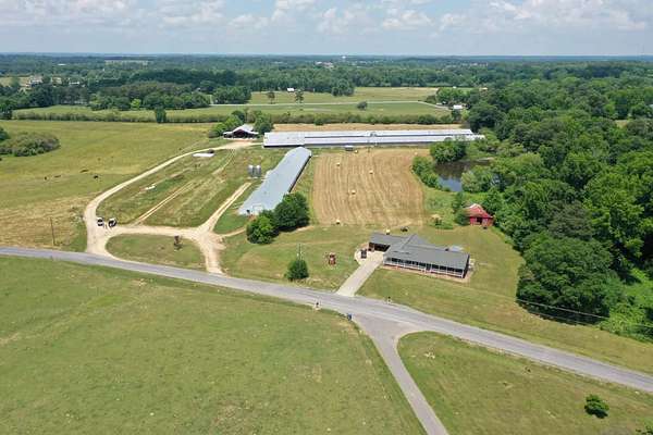 17.5 Acres of Agricultural Land for Sale in Crossville, Alabama