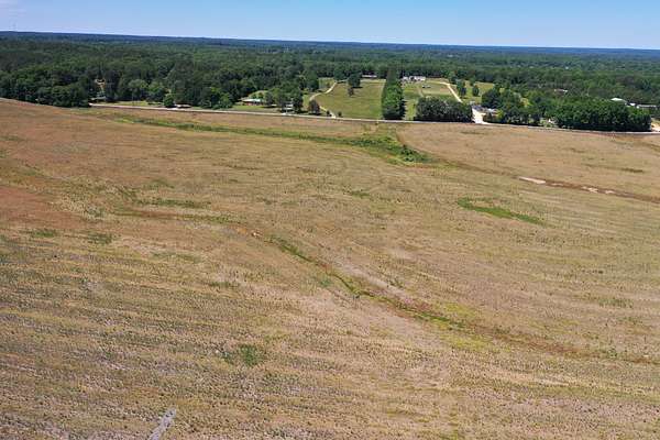 20 Acres of Agricultural & Residential Land for Sale in Florence, Alabama