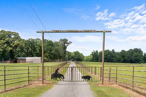 79 Acres of Land for Sale in Pine Mountain, Georgia