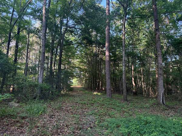 4.12 Acres of Residential Land for Sale in Notasulga, Alabama