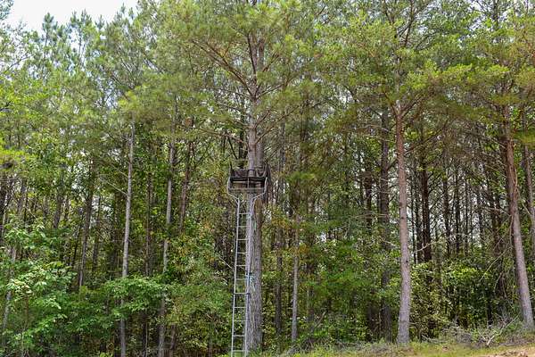 58 Acres of Recreational Land for Sale in Fairmount, Georgia