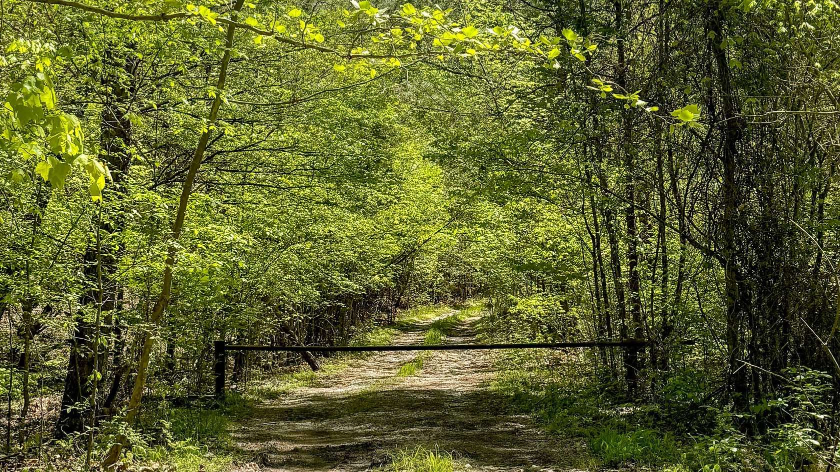 150 Acres of Recreational & Residential Land for Sale in Fairmount, Georgia