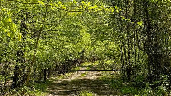 150 Acres of Recreational & Residential Land for Sale in Fairmount, Georgia