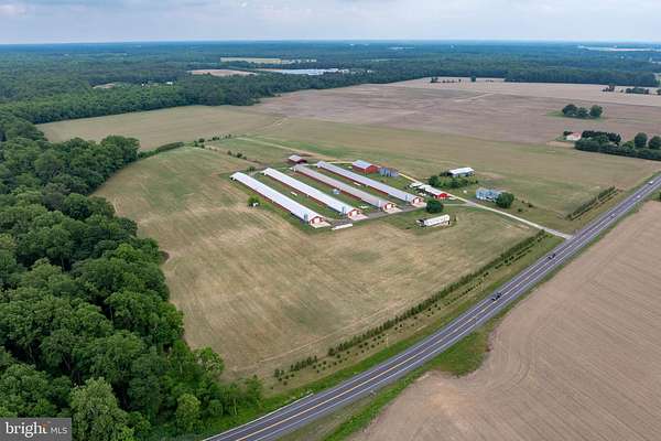 38.2 Acres of Land with Home for Sale in Preston, Maryland