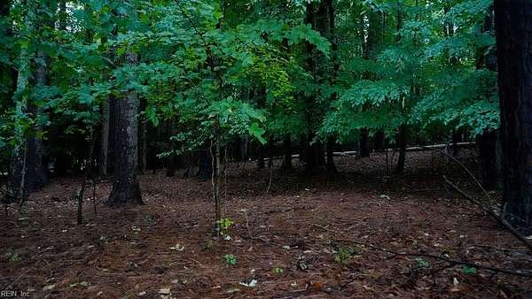 3.37 Acres of Residential Land for Sale in Newport News, Virginia