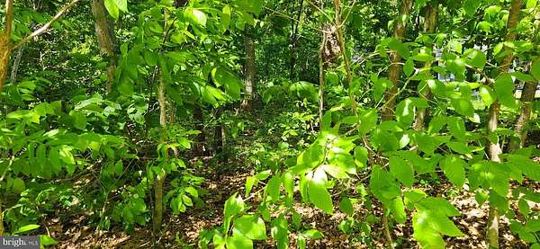 0.59 Acres of Residential Land for Sale in Louisa, Virginia