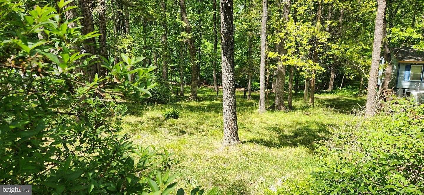 0.45 Acres of Residential Land for Sale in Louisa, Virginia