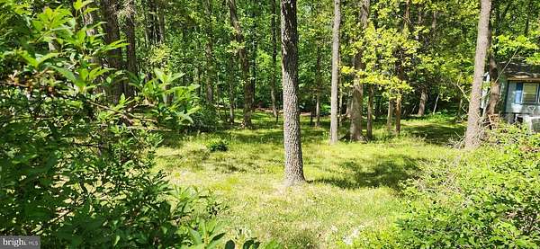 0.45 Acres of Residential Land for Sale in Louisa, Virginia