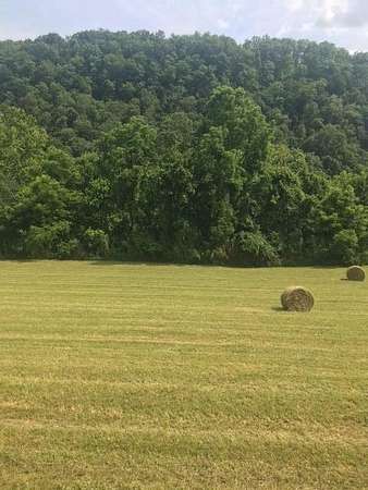 9.66 Acres of Land for Sale in Tazewell, Tennessee
