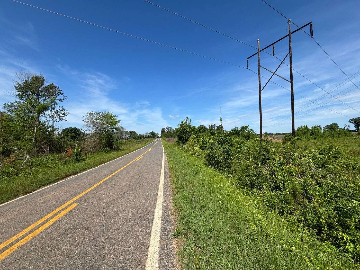 65.8 Acres of Recreational Land for Sale in Steeles Township, North Carolina
