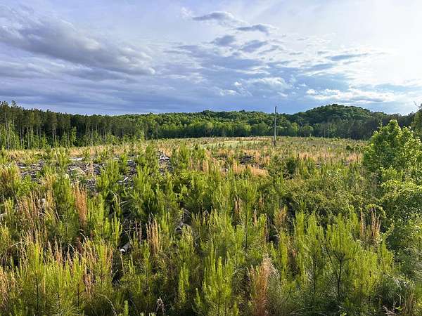 554 Acres of Recreational Land for Sale in Hickory Grove, South Carolina