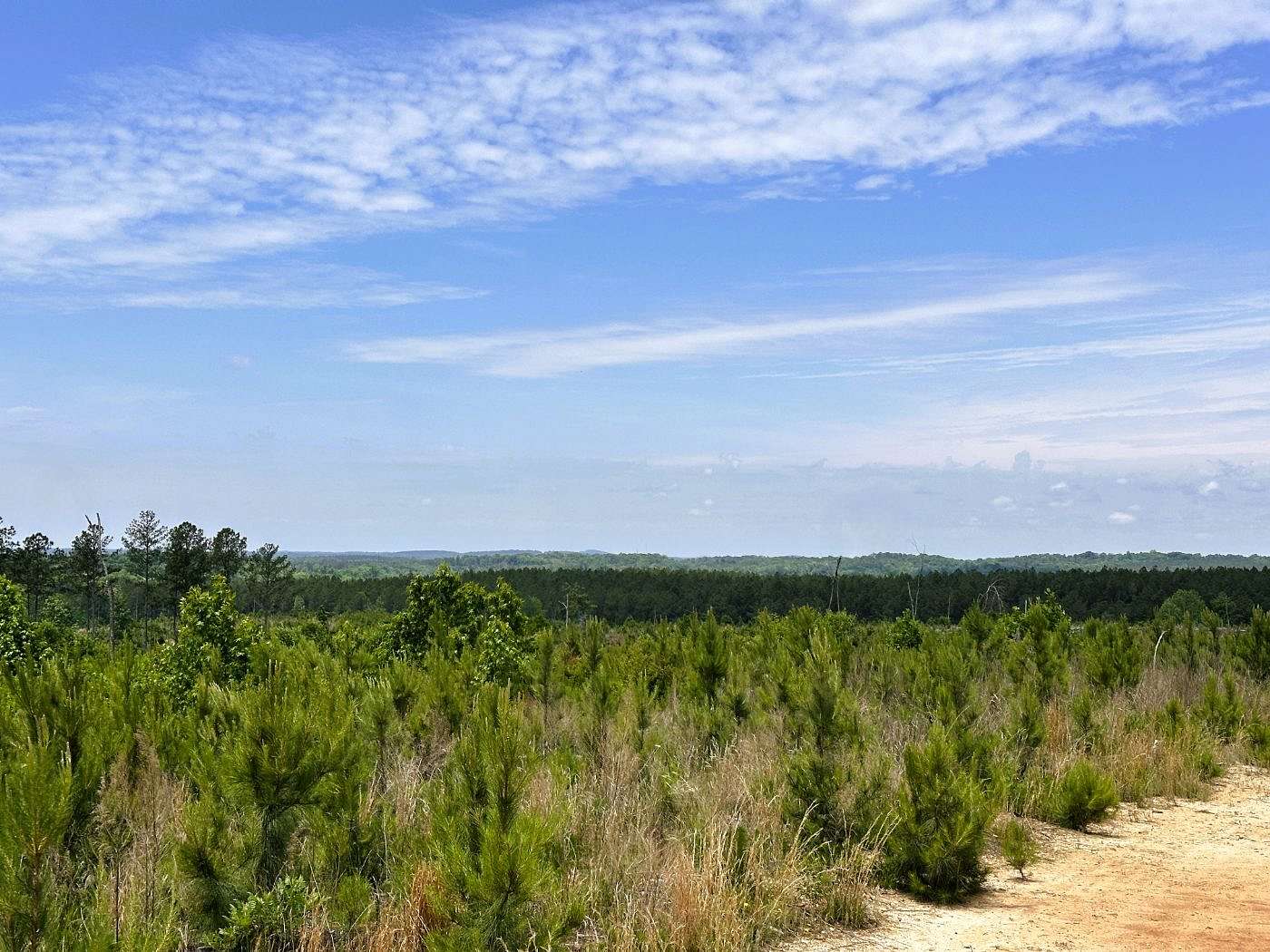 421 Acres of Recreational Land for Sale in Hickory Grove, South Carolina