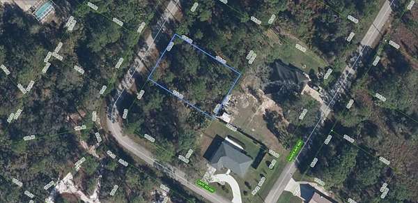 0.24 Acres of Residential Land for Sale in Lake Placid, Florida
