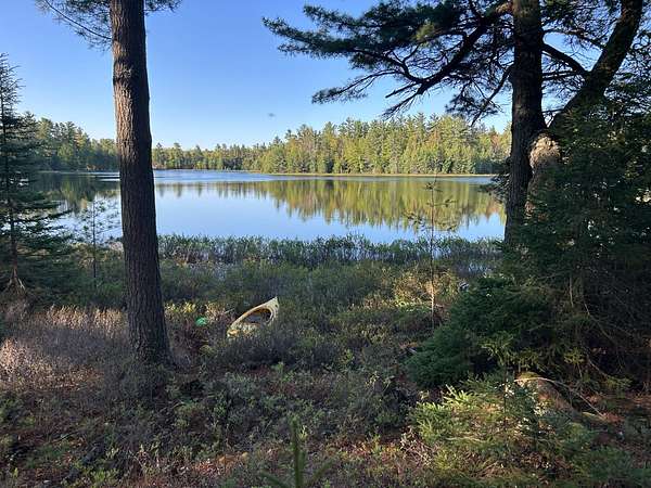 10.9 Acres of Land for Sale in Garden Township, Michigan