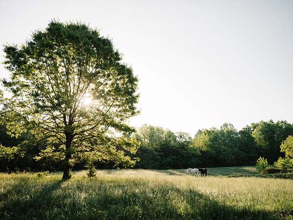 85 Acres of Land with Home for Sale in Columbia, Tennessee
