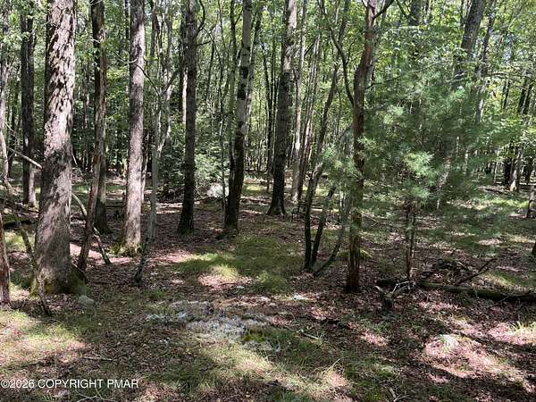0.39 Acres of Residential Land for Sale in Albrightsville, Pennsylvania