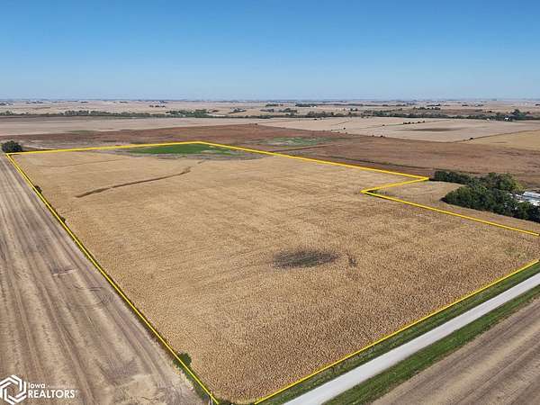73.9 Acres of Land for Sale in Zearing, Iowa
