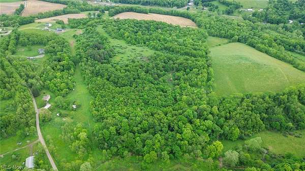 22.2 Acres of Recreational Land for Auction in Coshocton, Ohio