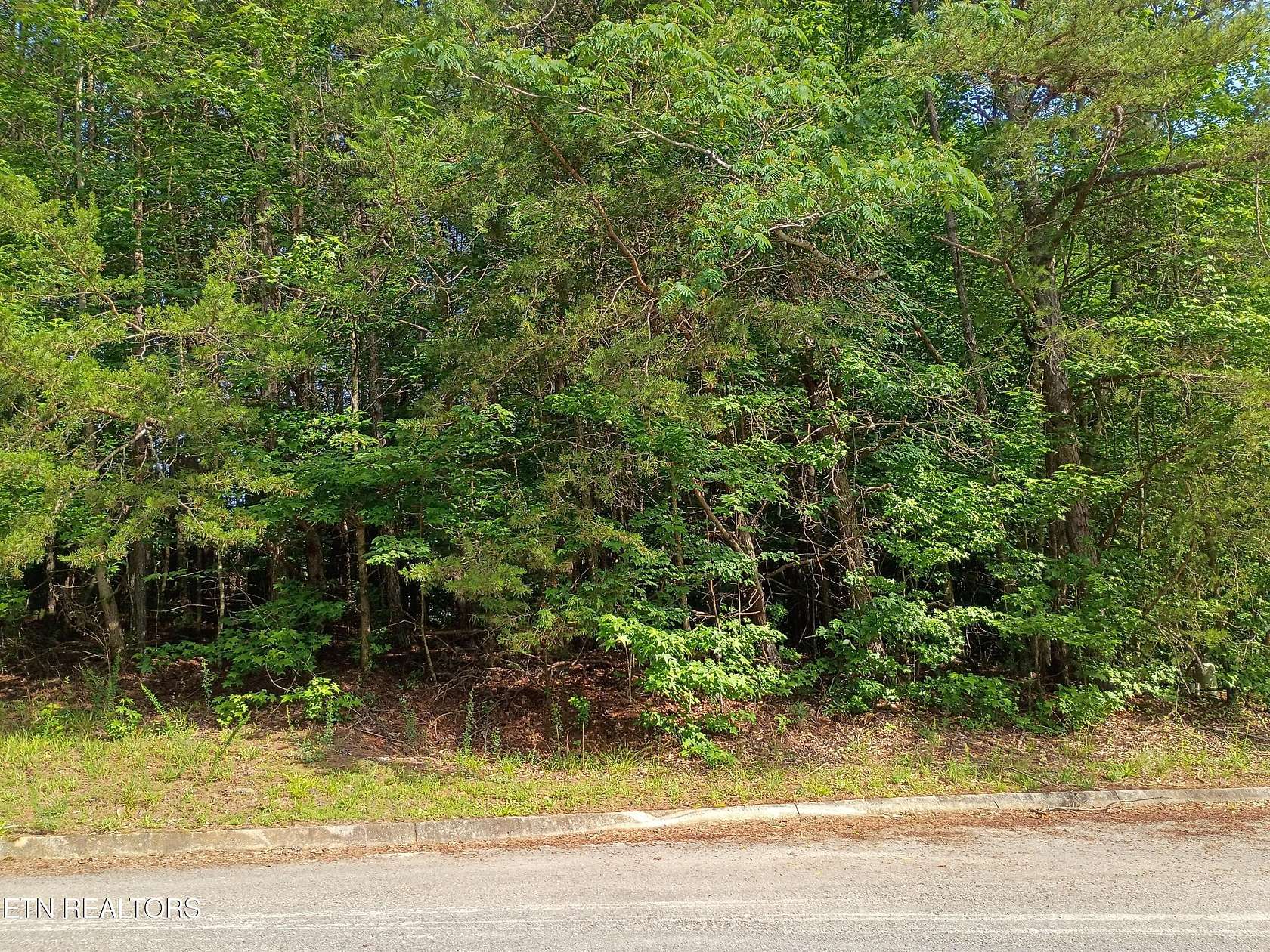 0.45 Acres of Residential Land for Sale in Harriman, Tennessee