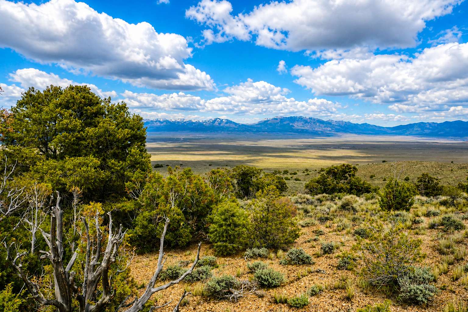 4.12 Acres of Land for Sale in Elko, Nevada