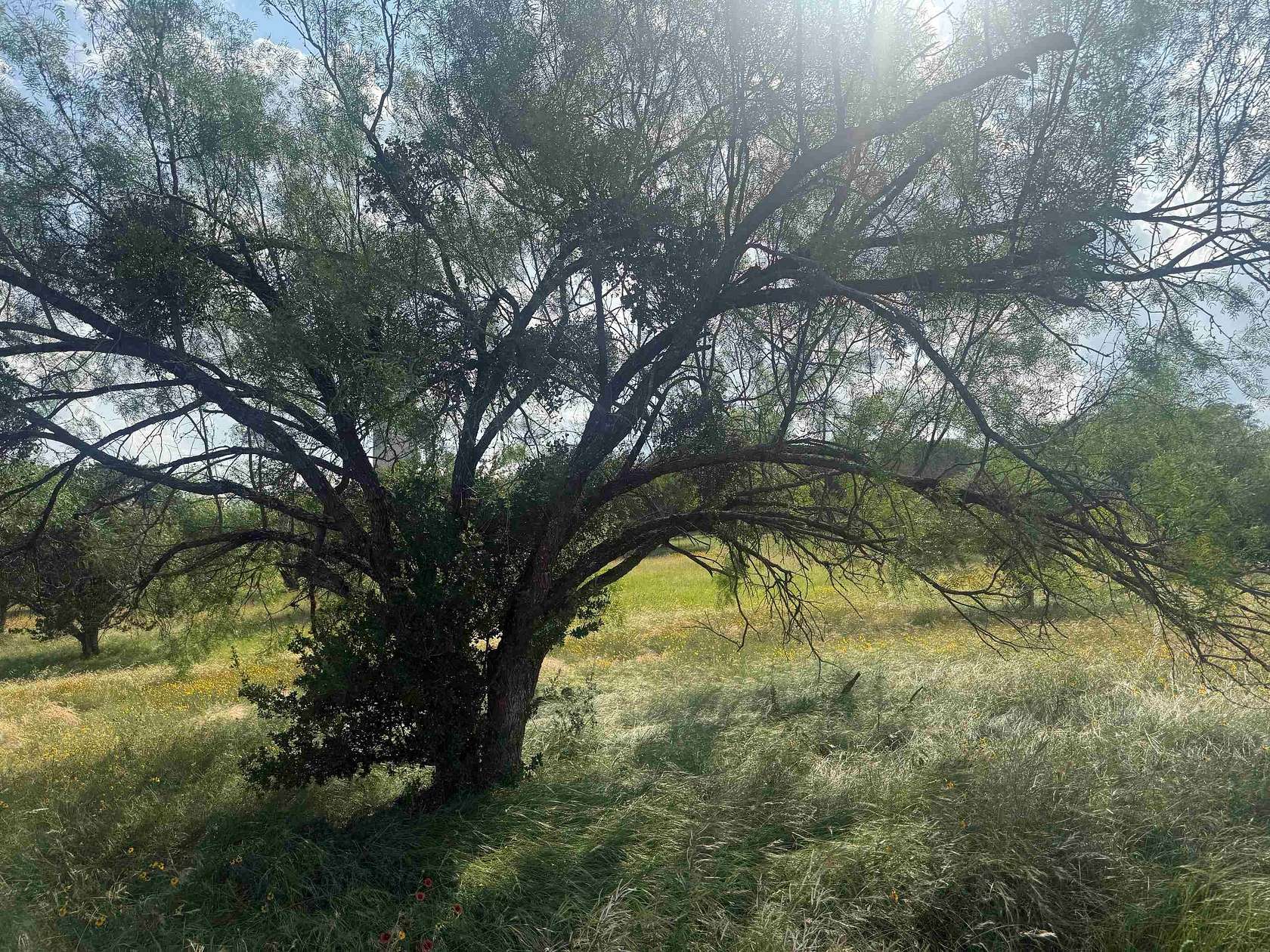 0.12 Acres of Residential Land for Sale in Horseshoe Bay, Texas