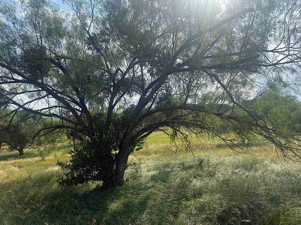 0.12 Acres of Residential Land for Sale in Horseshoe Bay, Texas