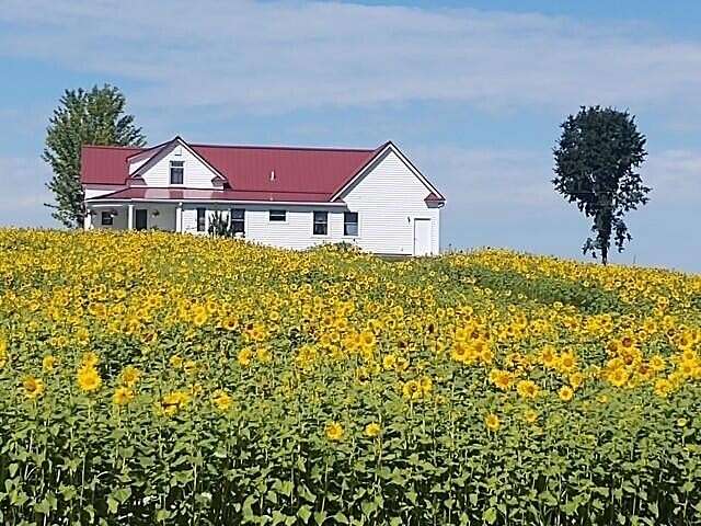 6.44 Acres of Land with Home for Sale in Marion, Michigan