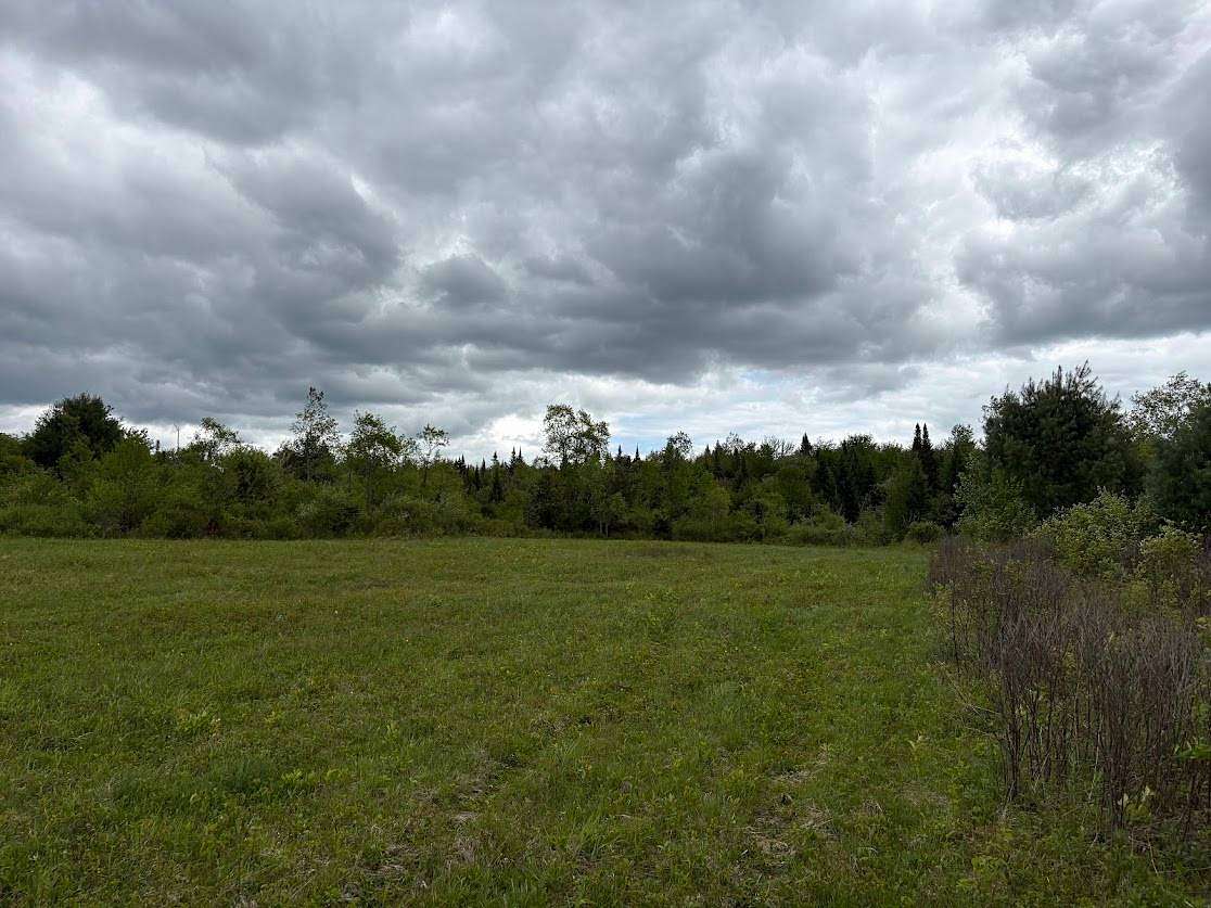 142 Acres of Recreational & Residential Land for Sale in Cold Brook, New York