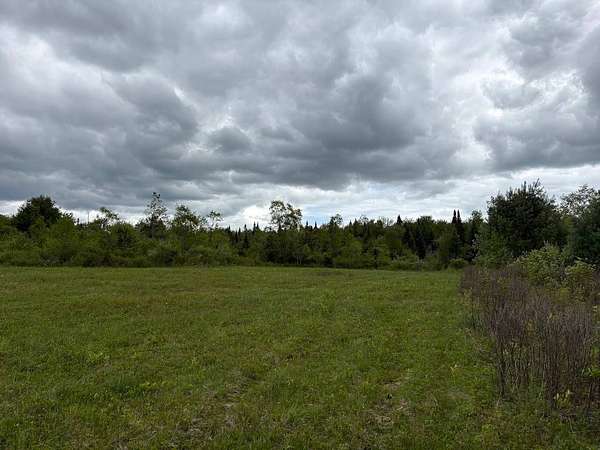 142 Acres of Recreational & Residential Land for Sale in Cold Brook, New York