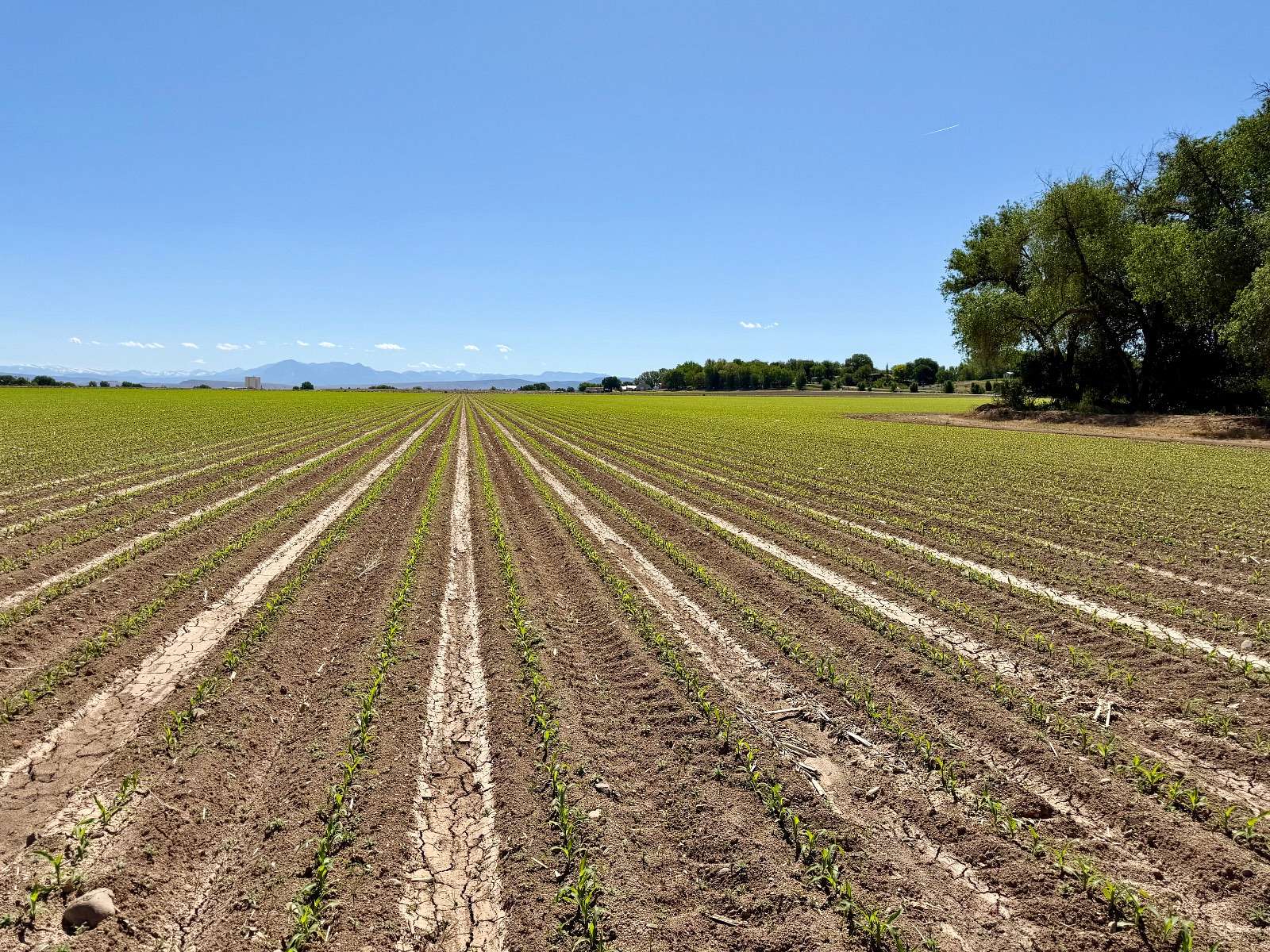 70 Acres of Land for Sale in Delta, Colorado