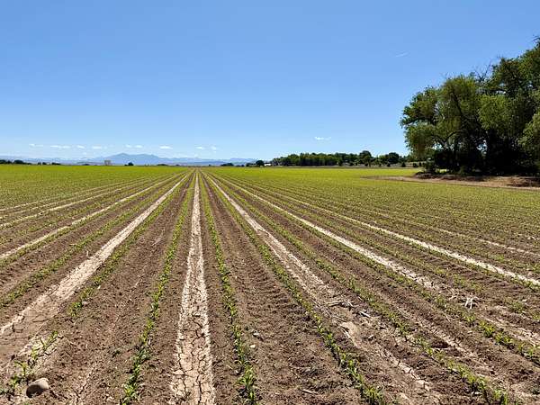 70 Acres of Land for Sale in Delta, Colorado