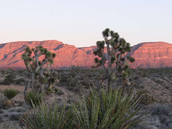 1 Acre of Residential Land for Sale in Meadview, Arizona