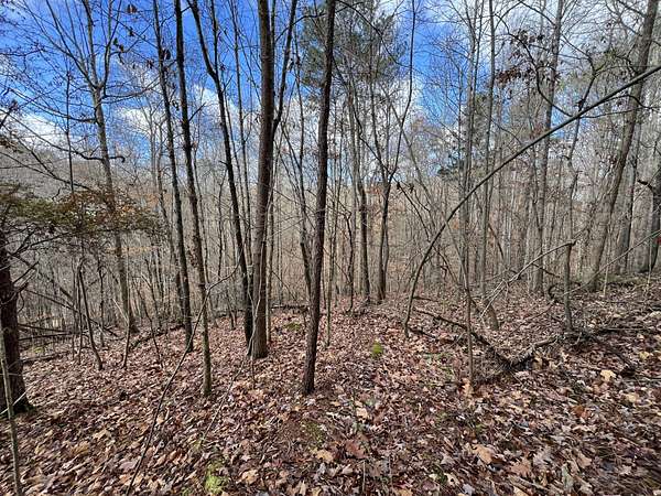 1.17 Acres of Land for Sale in Evensville, Tennessee