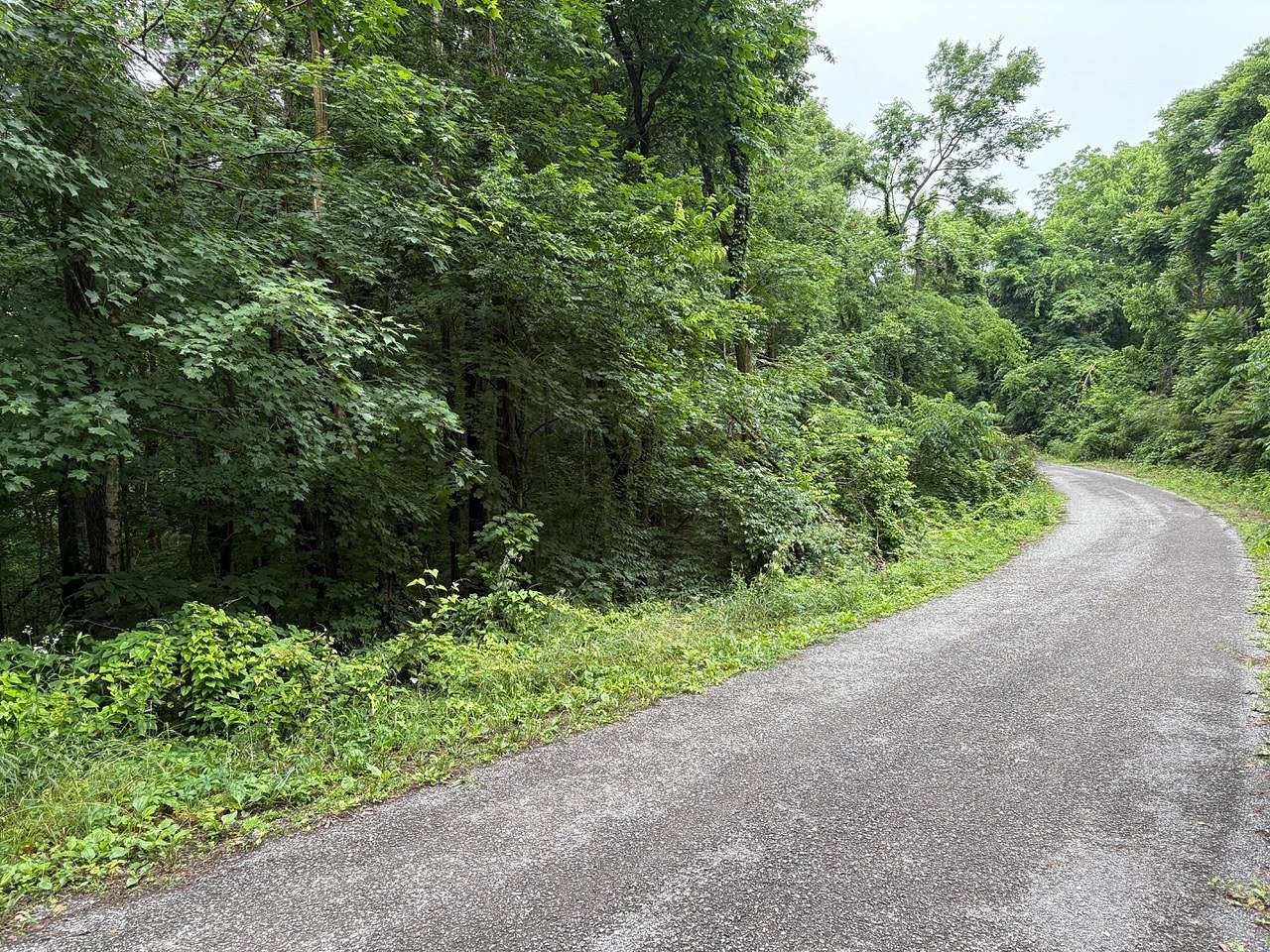 1 Acre of Residential Land for Sale in Mount Pleasant, Tennessee
