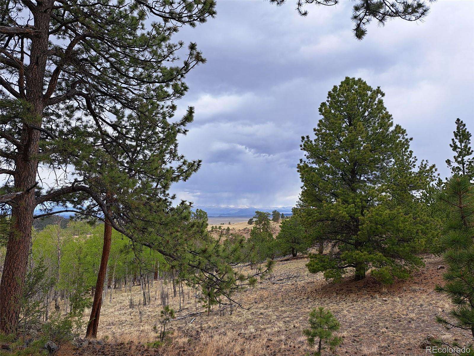 4.7 Acres of Residential Land for Sale in Hartsel, Colorado