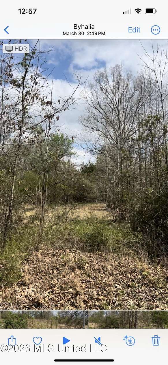 6 Acres of Land for Sale in Byhalia, Mississippi
