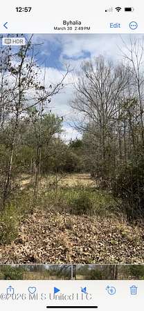 6 Acres of Land for Sale in Byhalia, Mississippi