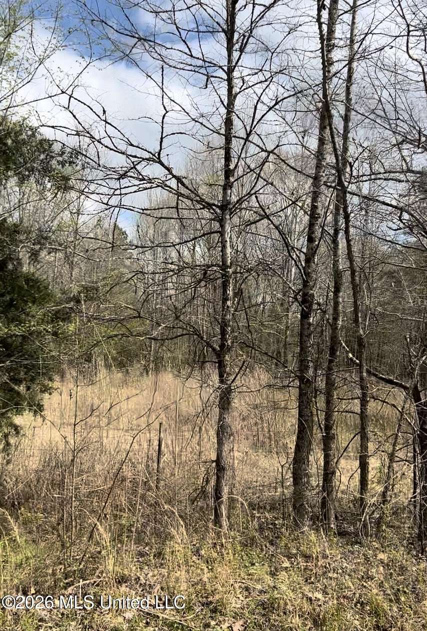 6.29 Acres of Land for Sale in Byhalia, Mississippi
