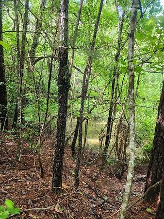 1 Acre of Residential Land for Sale in Carriere, Mississippi