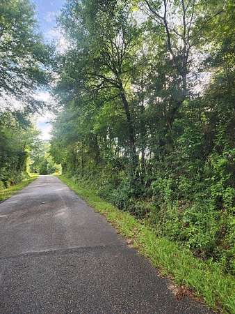 1 Acre of Land for Sale in Carriere, Mississippi