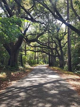 1 Acre of Land for Sale in Carriere, Mississippi