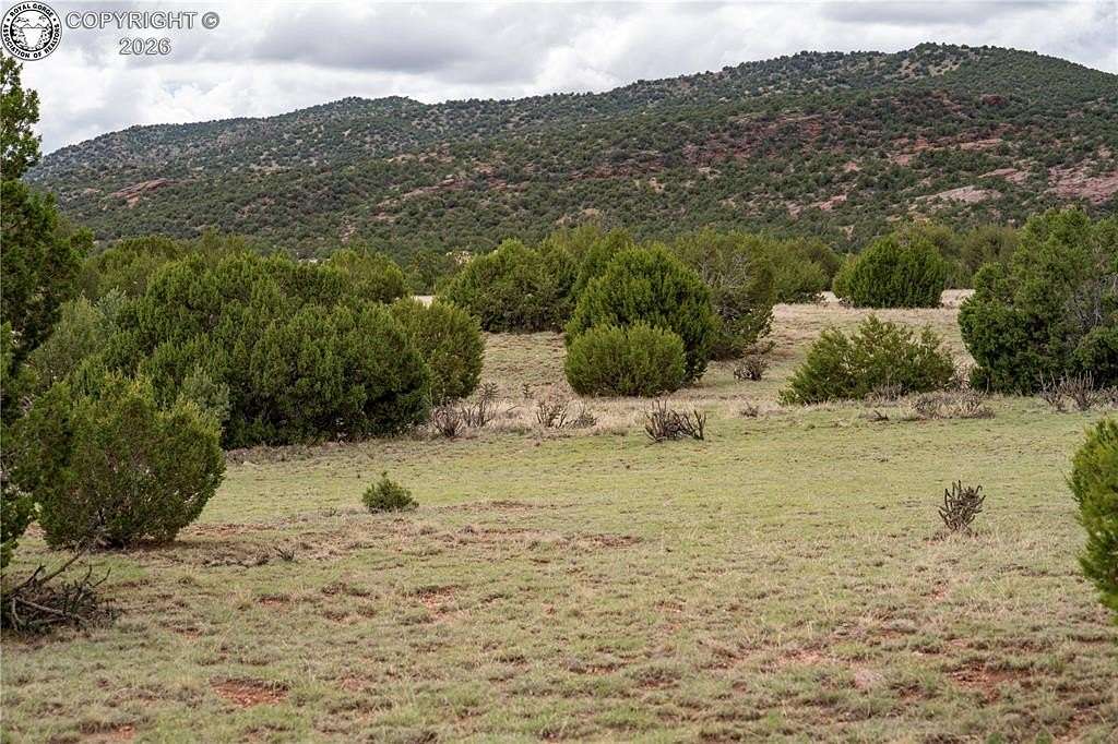 36.2 Acres of Land for Sale in Penrose, Colorado
