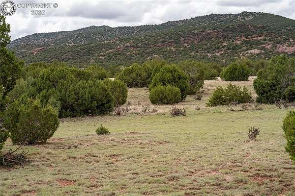 36.2 Acres of Land for Sale in Penrose, Colorado