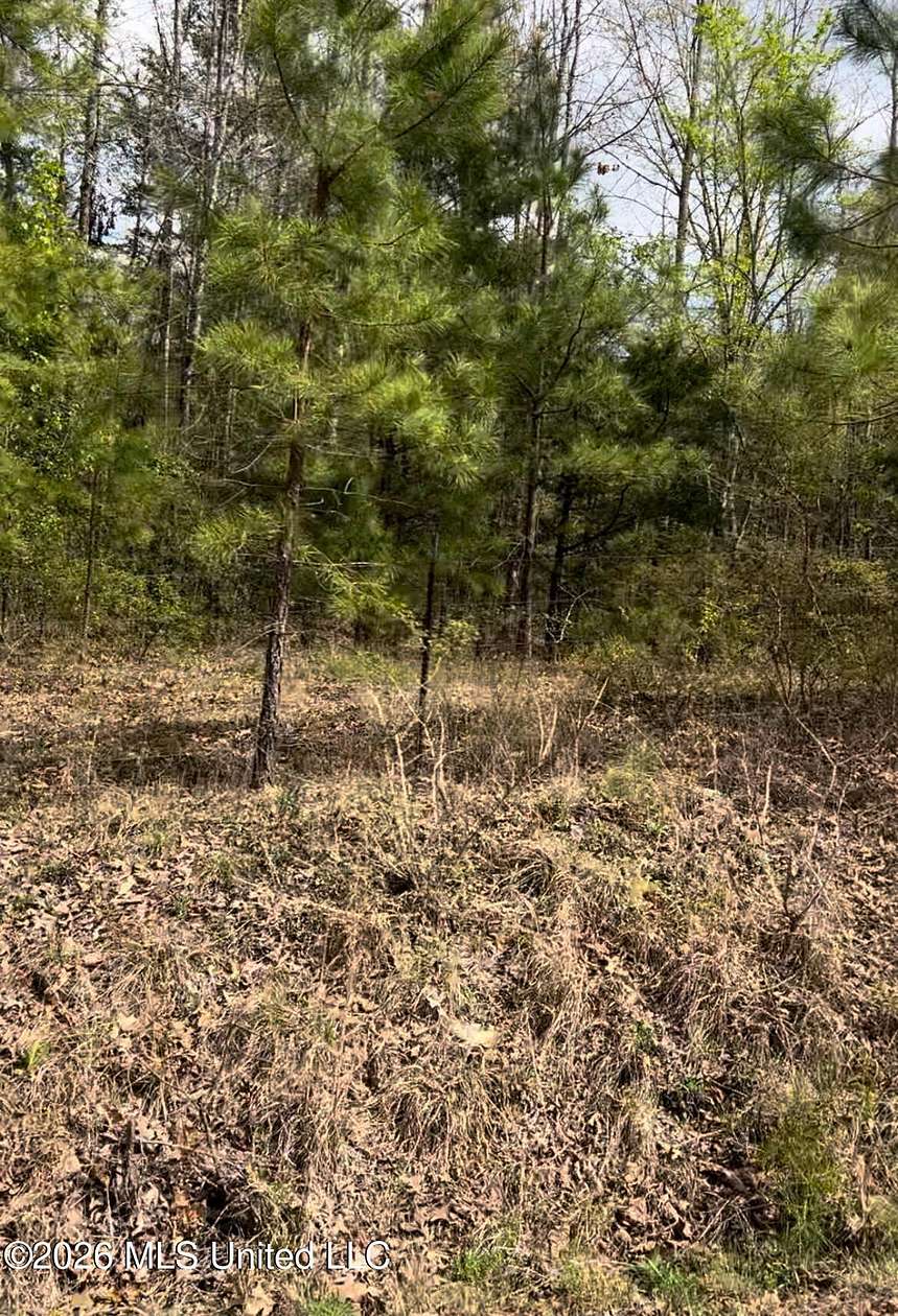 6.67 Acres of Land for Sale in Byhalia, Mississippi