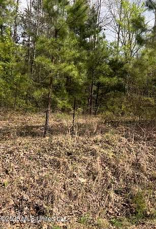 6.67 Acres of Land for Sale in Byhalia, Mississippi