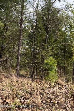 7 Acres of Land for Sale in Byhalia, Mississippi