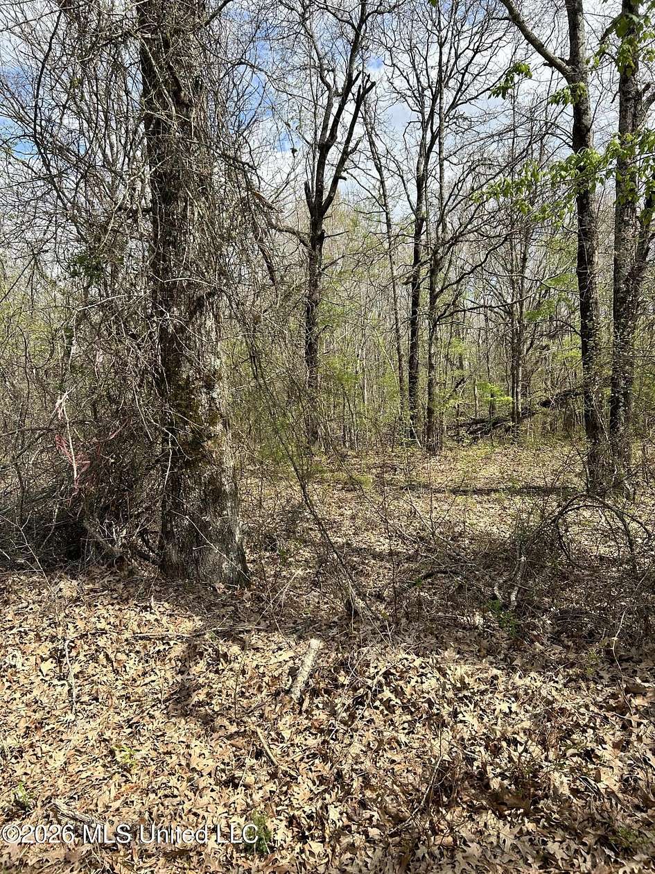 7.77 Acres of Land for Sale in Byhalia, Mississippi