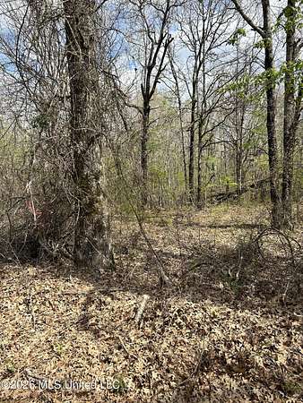 7.77 Acres of Land for Sale in Byhalia, Mississippi