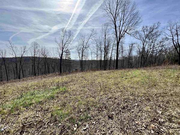 11.3 Acres of Land for Sale in Yellville, Arkansas