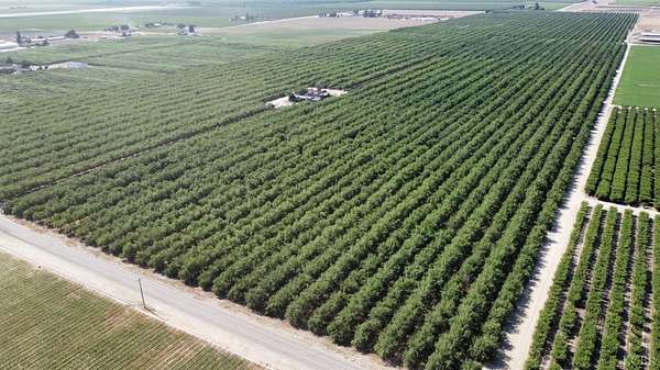 79.4 Acres of Agricultural Land with Home for Sale in Selma, California